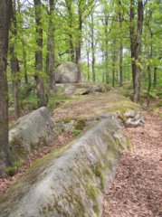 Blockheide Bild_03