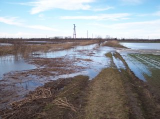 Hochwasser Bild_02
