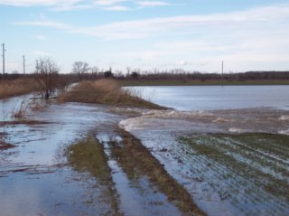 Hochwasser Bild_04