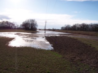 Hochwasser Bild_07
