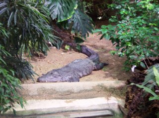 Schönbrunn Bild_02