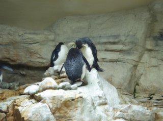 Schönbrunn Bild_07