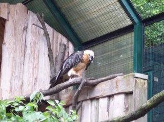 Schönbrunn Bild_09
