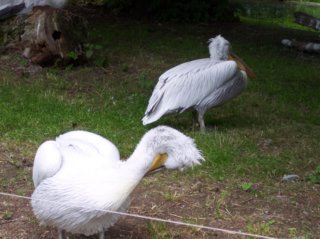 Schönbrunn Bild_11
